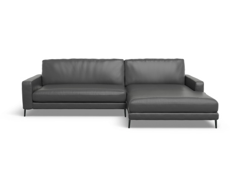 LOXL Medium R